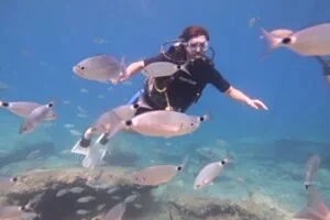 Fethiye Tüplü Dalış Turu SSS 15 Soru