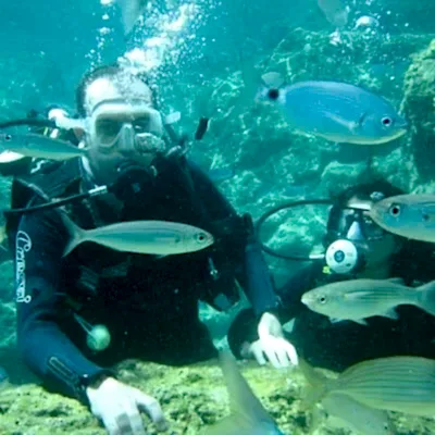 Ölüdeniz Tüplü Dalış