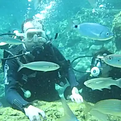 Ölüdeniz Tüplü Dalış